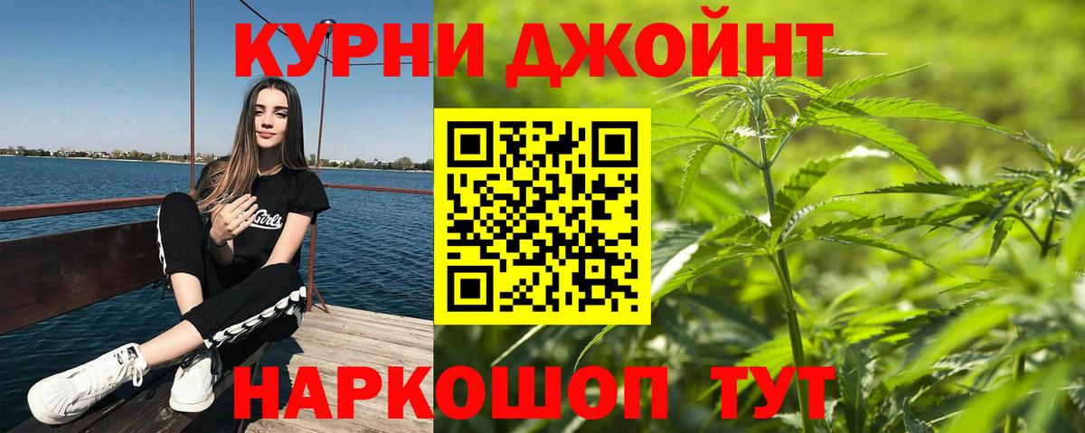 Шишки марихуана конопля  Вход с VPN  Конопля White Widow  Марихуана марихуана  Канаш  МАРИХУАНА White Widow 